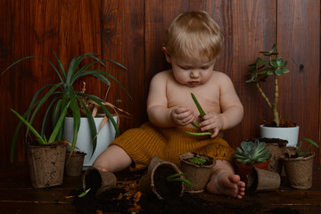 dirty little boy destroys flowers and house plants