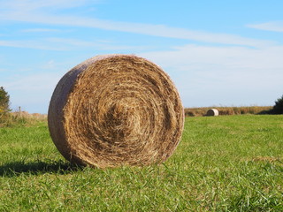 Hay bale on a field with blue sky and green grass, in summertime