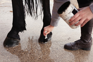 Woman spreading black ointment on horse hoof with a brush, holding ointment in hand