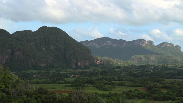Beautiful Famous Vinales Valley In Cuba As Birds Fly Overhead