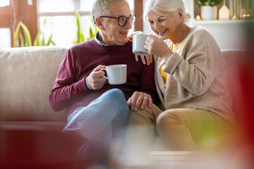 Portrait of a happy senior couple relaxing together at home 