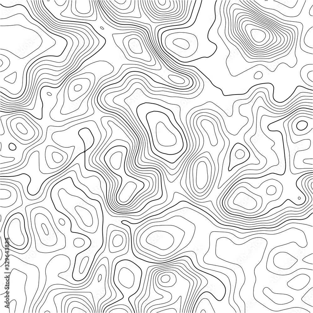 Poster grid map. topographic map background. abstract vector illustration. vector.