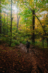 Catskills Mountains Fall Foliage Hike