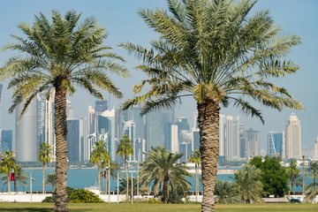 Panoramic view of modern skyline of Doha through blurred palm trees. Qatar on sunny day