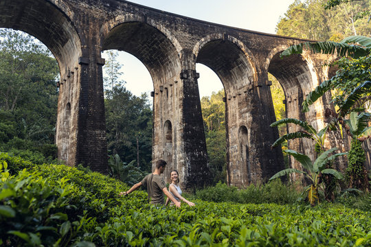 couple visiting a tea plantation near the nine arch bridge in Ella. Sri Lanka