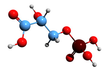 3D image of 3-phosphoglycerate skeletal formula - molecular chemical structure of 3-Phosphoglyceric acid isolated on white background