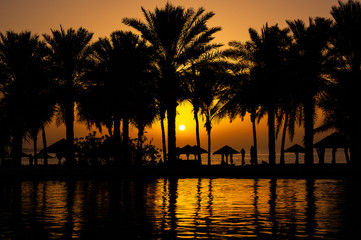 Sunset through the dark silhouettes of palm trees