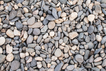 Sea pebbles. Background of pebbles. Wet stones. Multicolored pebbles. Sea shore.