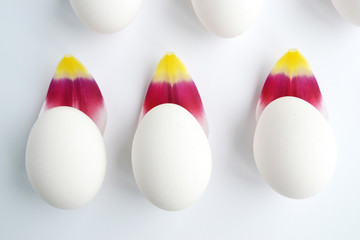 white easter eggs and flower petals on a white background