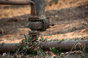 Rusty pipe with an old rusted valve with green ivy