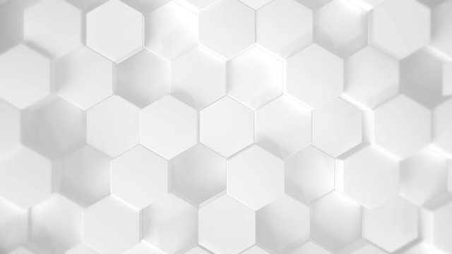 Hexagons Background Clean White Loop 01