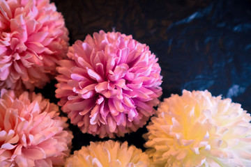 Beautiful abstract color yellow purple and pink flowers on black background and red and white flower frame and purple leaves texture, pink background, colorful graphics banner happy valentine