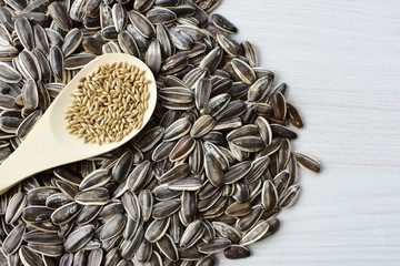 Birdseed and natural sunflower seeds, food for birds, displayed in containers on white wooden background