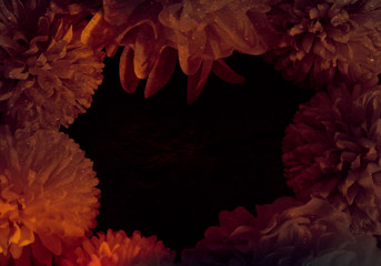 Beautiful abstract color blue pink and purple flowers on black background and blue graphic white flower frame and pink leaves texture, purple background, pink flower, colorful flowers graphics banner 