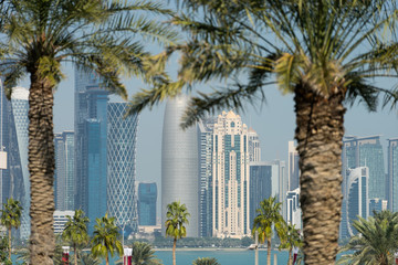 Panoramic view of modern skyline of Doha through blurred palm trees. Qatar on sunny day