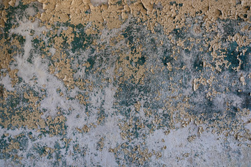 texture of old wall