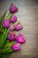 Bouquet of colorful tulips in spring holidays as decoration or a gift