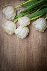 Bouquet of colorful tulips in spring holidays as decoration or a gift