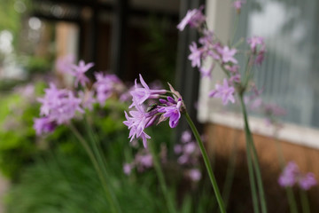 Stop and smell the flowers.