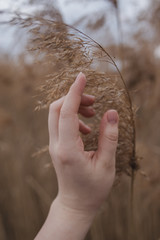 The young woman's hand touches the branch of the reed. Touch nature. Ecological concept