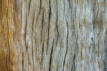 madeira textura