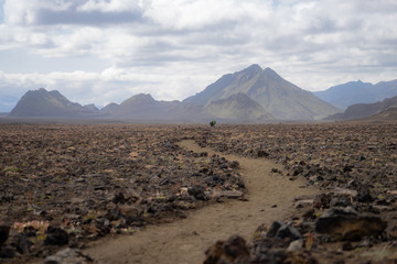 Laugavegur hiking trek, panoramic view of mountain with Volcanic landscape during ash storm. Iceland