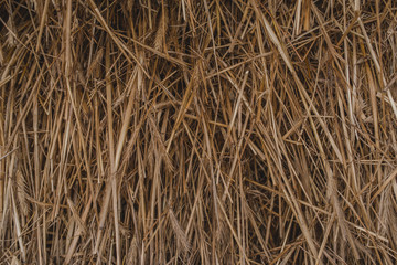 Harvesting straw for the winter. Background of straw. Harvesting straw for the winter. Farm concept.