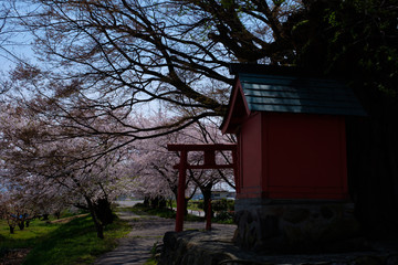 後ろからお稲荷さん