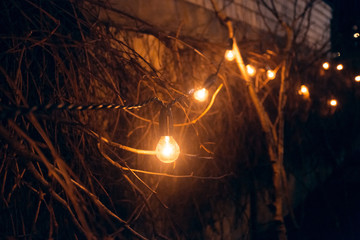 night background with garland of large lamps on trees outdoors.  Abstract holidays background. festive garland background on the wall. garland with light bulbs in the background close up
