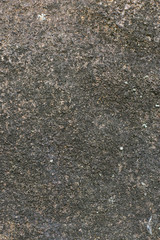 pedra