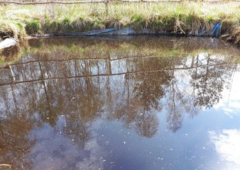 Mirror image in the water - Kielce 