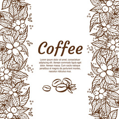Vector banner template with branches of coffee tree with flowers, leaves, berries and beans. Border coffee plant