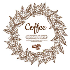 Vector banner template with branches of coffee tree with flowers, leaves, berries and beans. Border coffee plant