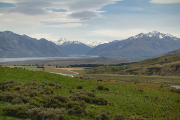 Fototapeta na wymiar A valley in the Southern Alps in New Zealand, home to Mount Sunday