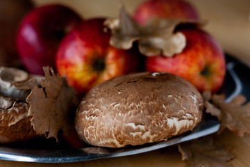 Autumn colors. Forest mushrooms, red apples, pumpkin, oak leaves in a warm shade. Autumn forest harvest.