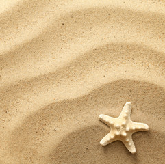 Fototapeta na wymiar Starfish On Wavy Sand Background