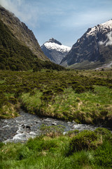 Green fields and snowcapped mountains in Fiordland National Park, New Zealand