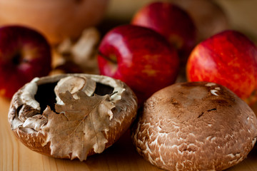 Autumn colors. Forest mushrooms, red apples, pumpkin, oak leaves in a warm shade. Autumn forest harvest.