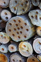 Close up shot of wooden logs background