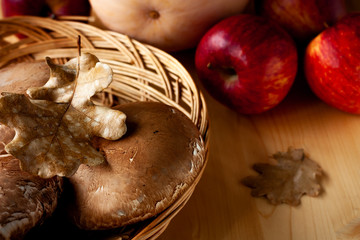 Autumn colors. Forest mushrooms, red apples, pumpkin, oak leaves in a warm shade. Autumn forest...