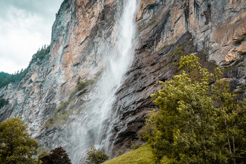 Obraz premium Small mountain waterfall. Summer alpine mountain landscape. Tree is in the foreground.