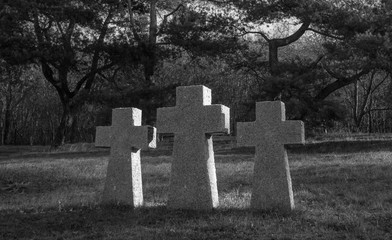 Three Stone Crosses at the World War II Memorial Cemetery of German Wehrmacht Soldiers in Baltiysk, Kaliningrad region