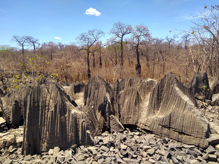  rocky and geological formations in the interior of Bahia (São Desidério).