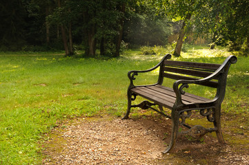 park bench summer season  morning