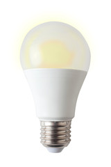 shining led bulb