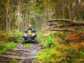 A yellow ATV rides through the forest. A man riding an ATV off-road. Journey through the woods. Extreme Off-road travel. Extreme racing in the forest. The tree was laid in the mud to drive through © Grispb