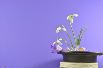  ikebana japanese bouquet of flowers in vase on purple background                                 