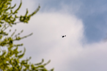 Helicopter in the distance above the sky with a tree in front