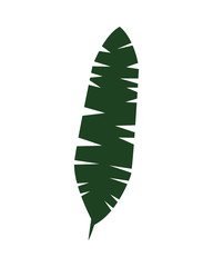 leaf palm tropical foliage icon