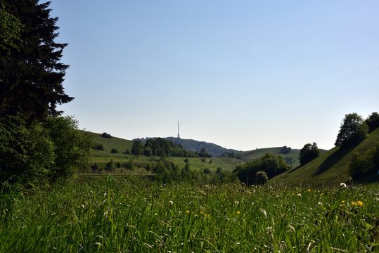 Kaiserst&uuml;hler Wiesen am Badberg bei Vogtsburg Schelingen mit Funkturm im Hintergrund